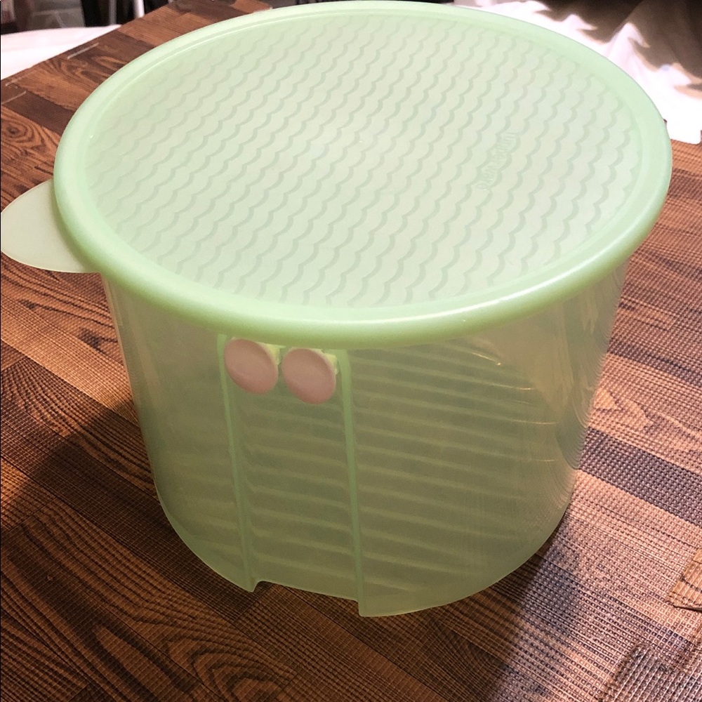 Tupperware Fridgesmart 20 Cup Clear Storage Container